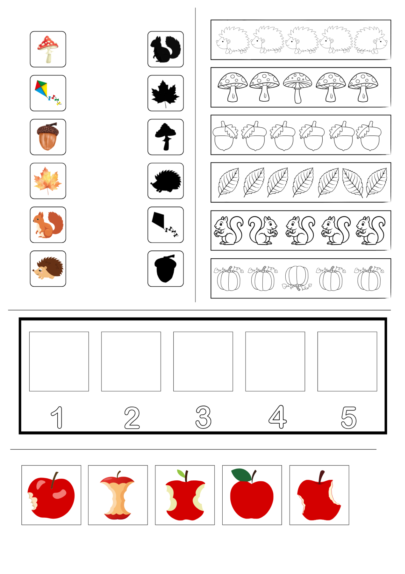 Zrakovka a dějová posloupnost